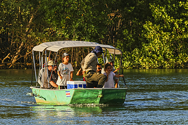 Tourists on boat trip through mangrove fringed Nosara River estuary and Biological Reserve at sunset, Boca Nosara, Nosara, Guanacaste, Costa Rica