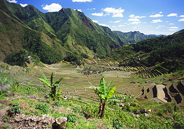 Terraced Rice Fields, Batad, Luzon Island, Philippines