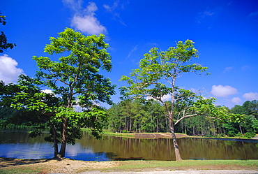 The Little River at Claude D Kelly State Park in Monroe County, southern Alabama, USA