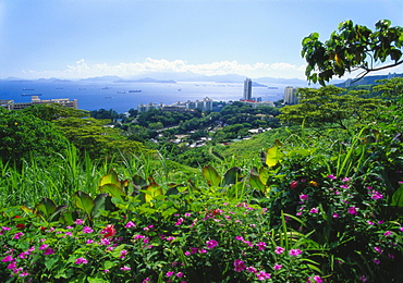 Pok Fu Lam, Wanchai, Hong Kong