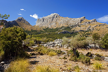 Puig Major mountain in northern Majorca, near Soller, Majorca, Balearic Islands, Spain, Europe