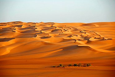 Endless wide open space sanddunes in the desert Mandara Libya