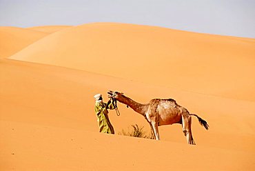 Protest Tuareg tries to hold a camel in the desert Mandara Libya