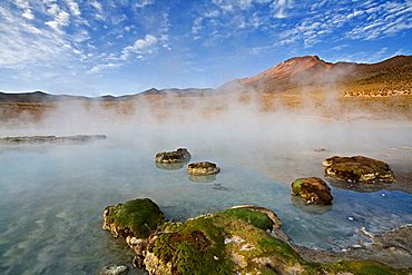 Natural thermal springs Polloquere, salt lake Salar de Surire, national park Reserva Nacional Las Vicunas, Chile, South America