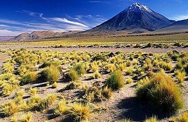 Licancabur volcanoe (5916 m) near San Pedro de Atacama, Chile