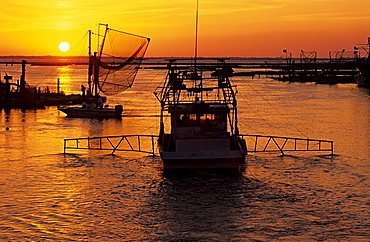 Fishing boats in the harbor of Cocodrie in the Mississippi river delta