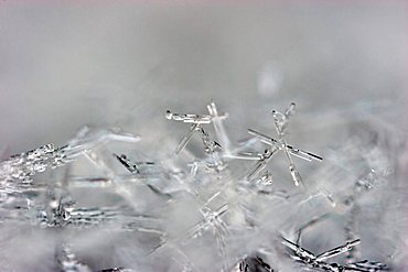 snow ice crystals