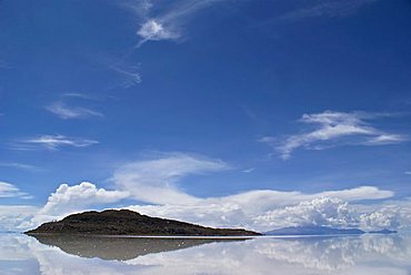 Isla del Pescado Island in the salt desert Salar de Uyuni, Bolivia