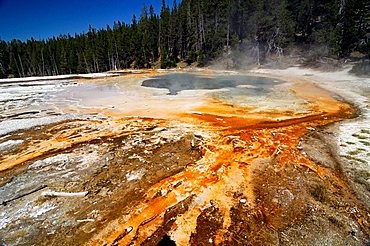 Geysers, Yellowstone national park, Wyoming, USA