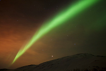 Northern Lights over the Kattfjord pass in winter, Kvaloya, Tromso, Norway, Europe