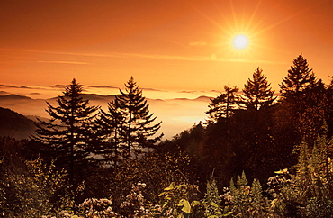 Sunrise over Great Smoky Mountains, North Carolina, USA