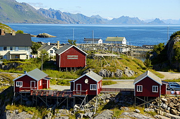 Scattered red wooden houses Hamnoya Moskenesoya Lofoten Norway