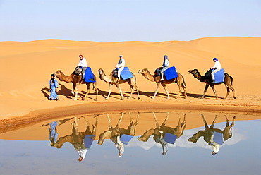 Four camels with riders mirror in water with sanddunes Erg Chebbi Merzouga Morocco