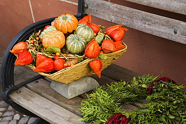 Autumn garden decoration pumkins