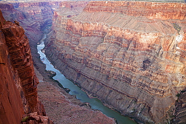 Grand Canyon and Colorado River seen from Toroweap Point, Tuweep Area, North Rim, Arizona, USA