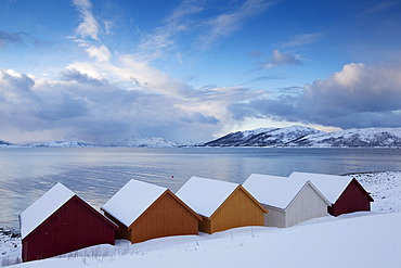 Nordfjord with colorful wooden huts, Kvalâˆšâˆya, Norway, Europe