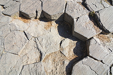 Hexagonal pattern on the top surface of basalt columns at Mammoth Lake, Devil\'s Postpile National Monument, California, USA