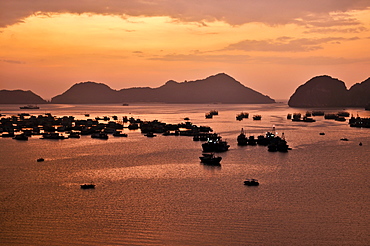 Harbour of Cat Ba, Halong Bay, Vietnam, Southeast Asia