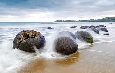 Moeraki Boulders, geological feature, round rock balls, washed by the waves of the surf at high tide, Coastal Otago, Moeraki, South Island, New Zealand, Oceania