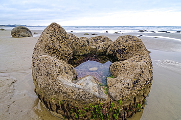 Moeraki Boulders, geological feature, round rock balls, some fragments lying broken in ruins on the beach, Coastal Otago, Moeraki, South Island, New Zealand, Oceania