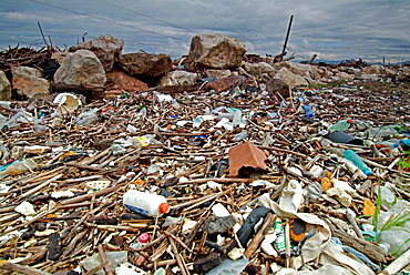 Rubbish on seashore at the beach of Pisa Tuscany Italy