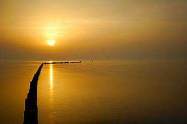 Calm sea with breakwater at sunrise, the rising sun is reflected in the water, Veneto, Italy