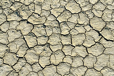 Desiccation cracks, Bonneville Speedway, Great Salt Lake Desert, Wendover, Utah, USA