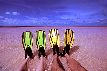 Couple with fins on the beach