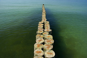 Groyne at the beach of Baltic Sea at Darss Germany