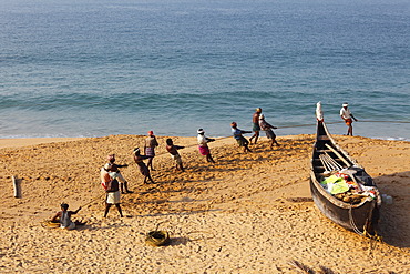 Fishermen pulling in a net, beach south of Kovalam, Malabar Coast, Malabar, Kerala, southern India, India, Asia