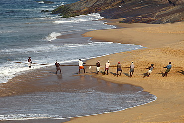 Fishermen pulling in a net, beach south of Kovalam, Malabar Coast, Malabar, Kerala, southern India, India, Asia