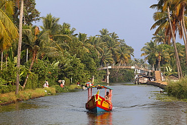 Colorful boat on a canal, Backwaters near Alleppey, Alappuzha, Kerala, India, South Asia, Asia