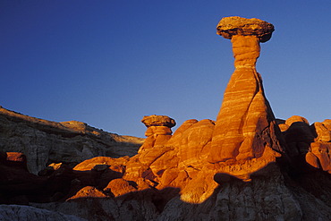 Toadstool Hoodoo at sunset Grand Staircase Escalante National Monument Utah USA