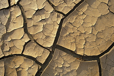 Cracked earth in dry creek Joshua Tree National Park California USA