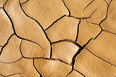 Loamy soil cracking open , Fuerteventura , Canary Islands