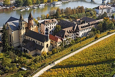 Wuerzburg, St Burkard church, vineyard Schlossberg, Franconia, Bavaria, Germany