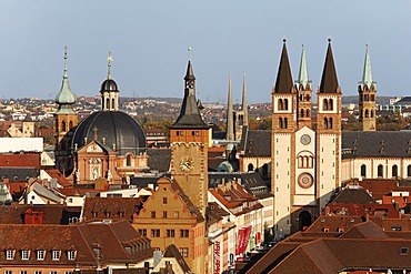 Neumuenster church, old townhall, cathedral, Wuerzburg, Franconia, Bavaria, Germany