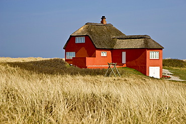 Lonely red house at the Danish west coast, Denmark