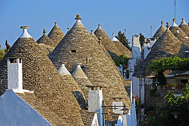 Trulli, round houses of Alberobello, UNESCO World Heritage Site, Valle d\'Itrea, Bari Province, Apulia, Southern Italy