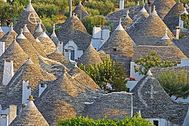 Trulli, round houses of Alberobello, UNESCO World Heritage Site, Valle d\'Itrea, Bari Province, Apulia, Southern Italy