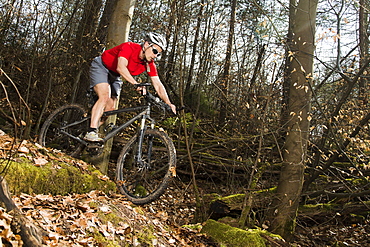 Cyclist on a mountainbike riding through a forest, Schurwald forest, Winterbach, Baden-WÃ¢Ë†Å¡Ã‚Âºrttemberg, Germany