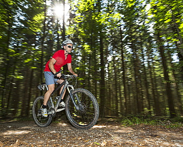 Cyclist on a mountainbike riding through a forest, Schurwald forest, Winterbach, Baden-WâˆšÂºrttemberg, Germany