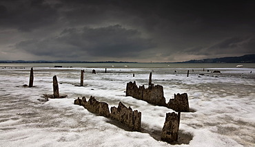 Remains of pile-dwellings at the lakeside of Hoeri peninsula in Lake Constance, Baden-Wuerttemberg, Germany