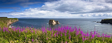 Bay in Scotland, UK, Europe
