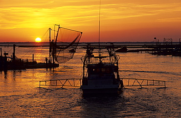 Fishing boats in the harbor of Cocodrie in the Mississippi river delta