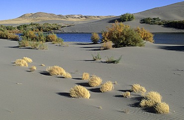 Sand dunes and lake at Bruneau Dunes State Park, Idaho, USA