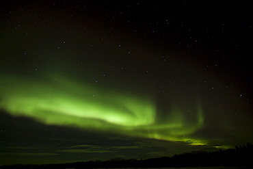 Swirling green northern polar lights (Aurora borealis), near Whitehorse, Yukon Territory, Canada