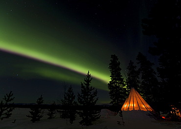 Illuminated teepee, tipi, tepee, northern polar lights, Aurora borealis, green, near Whitehorse, Yukon Territory, Canada, America