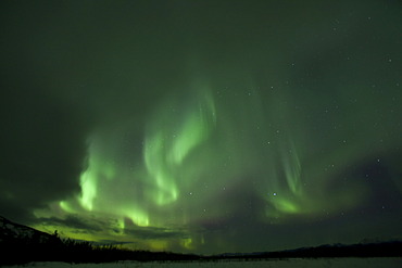 Swirling Northern lights, Polar aurora or Aurora Borealis, green, near Whitehorse, Yukon Territory, Canada