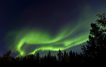 Swirling Northern lights, Polar Aurorae, Aurora Borealis, green, near Whitehorse, Yukon Territory, Canada